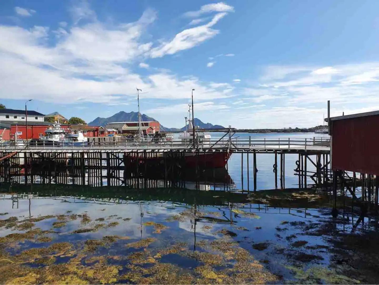 Fisherman's Cabin, Lofoten - 24 Bardbua Holiday home Ballstad