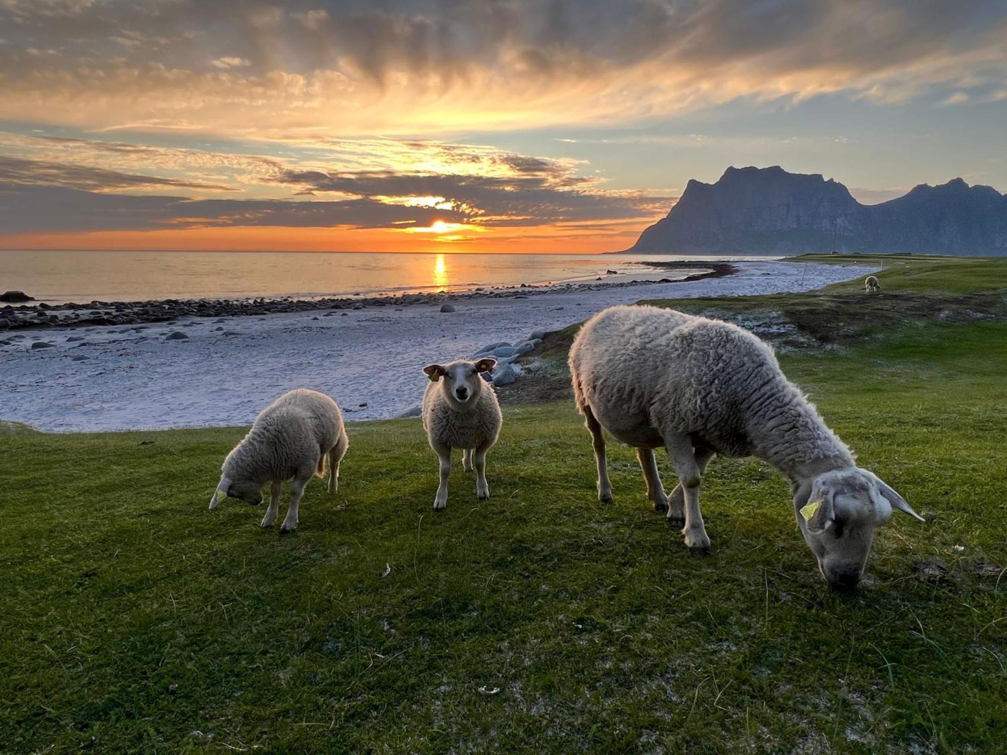 Fisherman's Cabin, Lofoten - 24 Bardbua